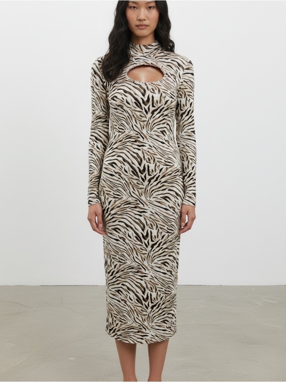 Elegant Zebra Print Long Sleeve Dress